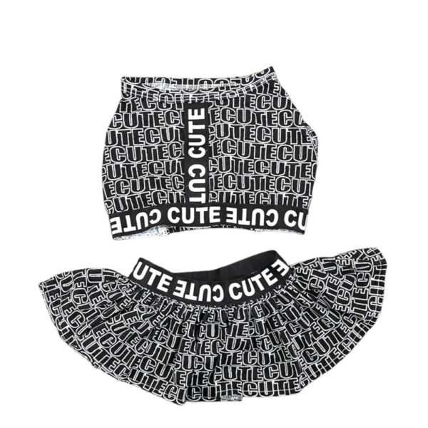 2 Piece Pet Sports Dress Set