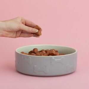 dog Treats