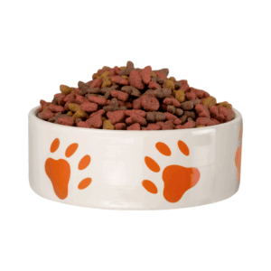 dog Dog Dry Food