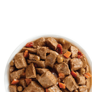dog Dog Wet Food