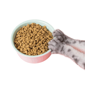 cat Cat Dry Food