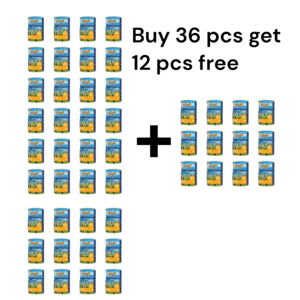 Buy 36 Pcs Premium Chicken, Pumpkin & Rosemary Pate Dog Food, Get 12 Free – 400g Packs