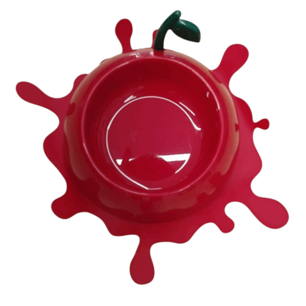 Vetres Bowl with Mat For Pets Red