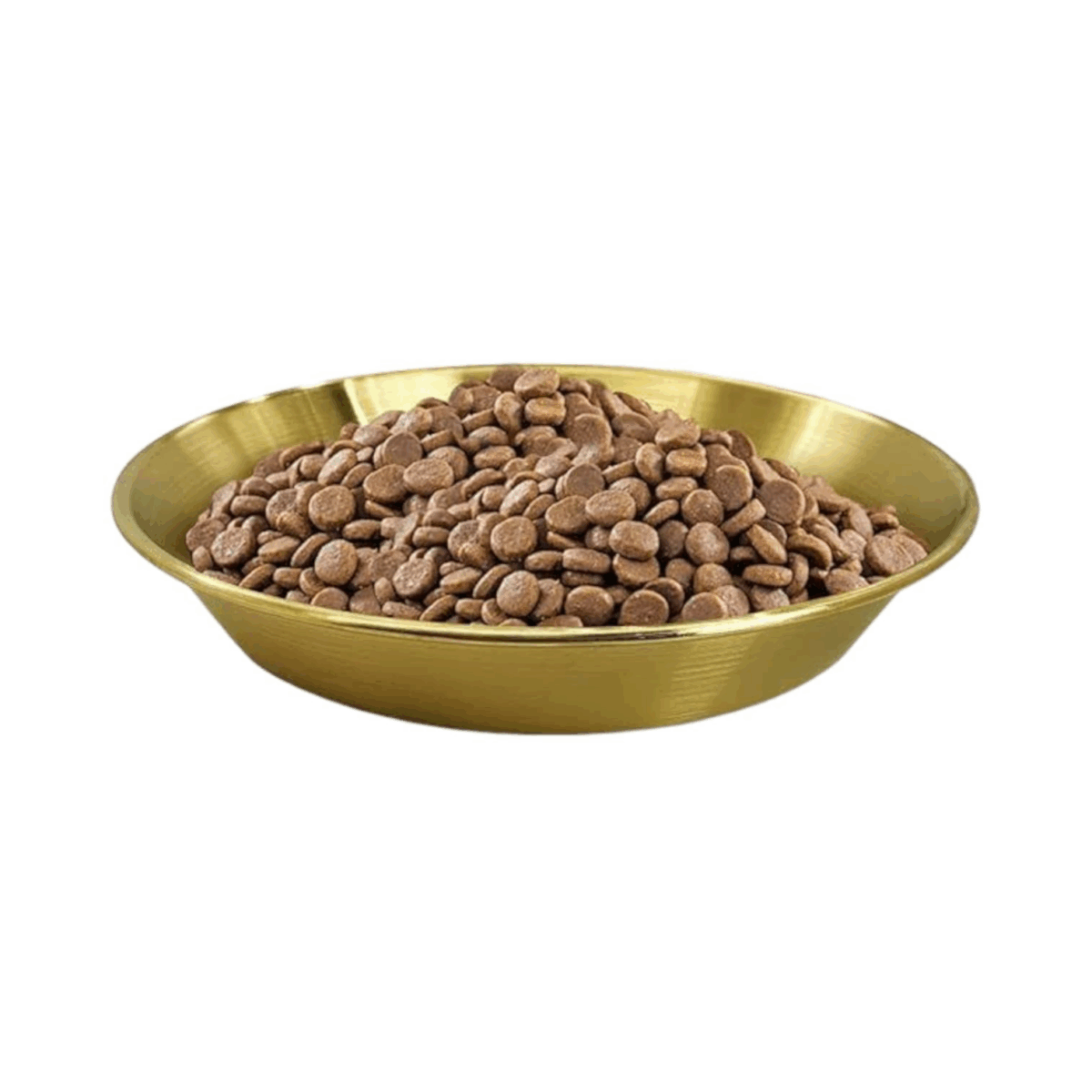 Luxury gold stainless steel Pet bowl, easy to clean