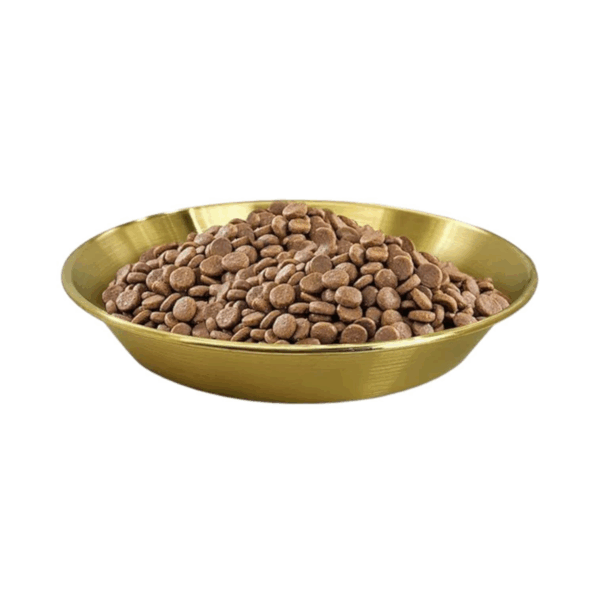 Luxury gold stainless steel Pet bowl, easy to clean