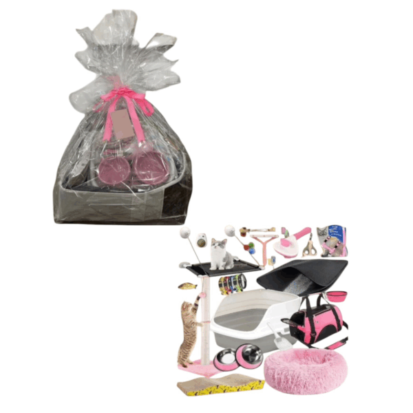 New Born Baby Cat Supplies Starter Kit Include Cat Scratcher Cardboard , Litter Box, Bed , Pet Bag , Bowels , Brush , Toys , Leash And So Many Things