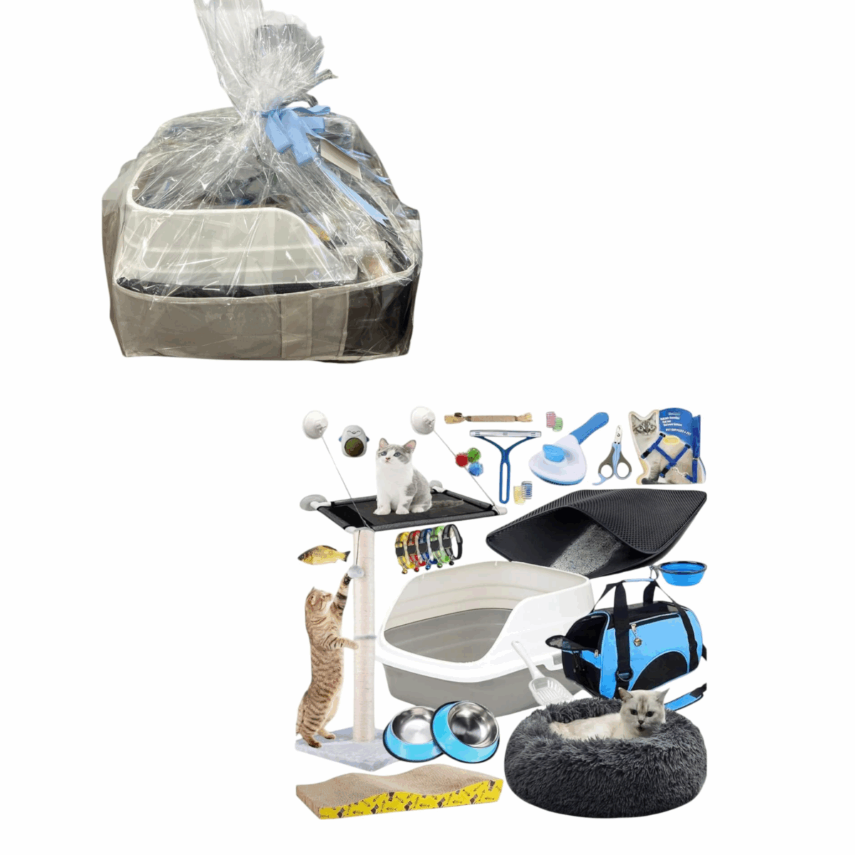New Born Baby Cat Supplies Starter Kit Include Cat Scratcher Cardboard , Litter Box, Bed , Pet Bag , Bowels , Brush , Toys , Leash And So Many Things
