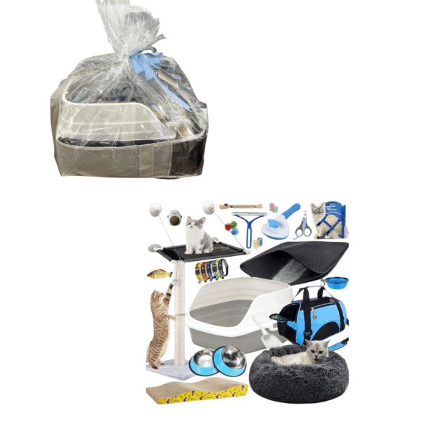 New Born Baby Cat Supplies Starter Kit Include Cat Scratcher Cardboard , Litter Box, Bed , Pet Bag , Bowels , Brush , Toys , Leash And So Many Things