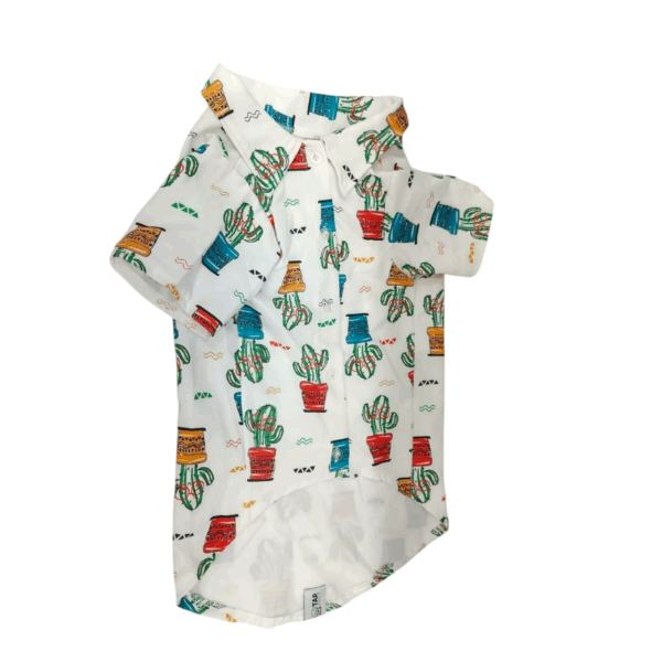Stylish and distinctive dog shirt with a collar and cactus print, large size