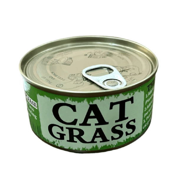 Cat Grass Seeds - Can