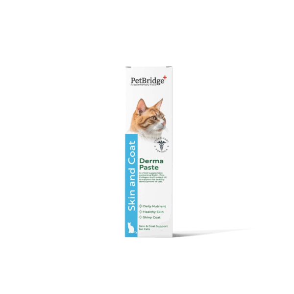 Petbridge Derma Past Skin & Coat For Cat 100 Ml