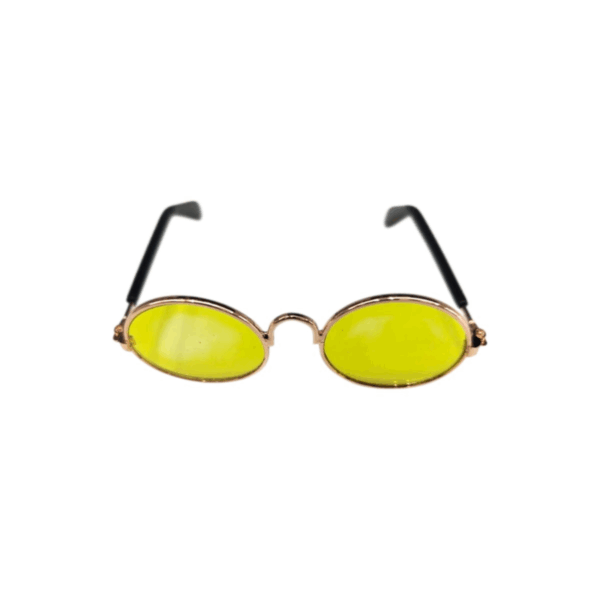 Stylish Sunglasses for Your Pet