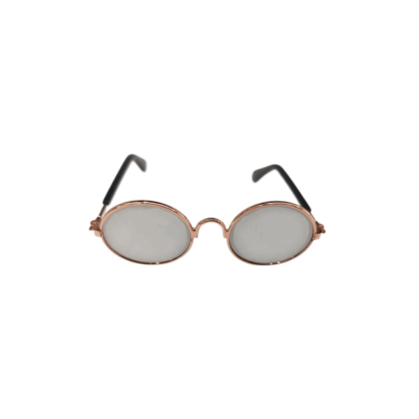Stylish Sunglasses for Your Pet