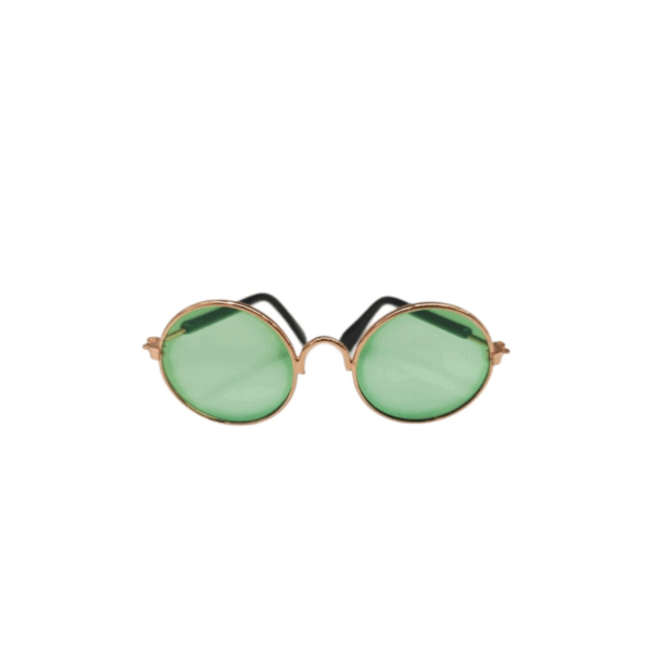 Stylish Sunglasses for Your Pet