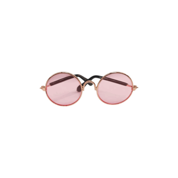 Stylish Sunglasses for Your Pet