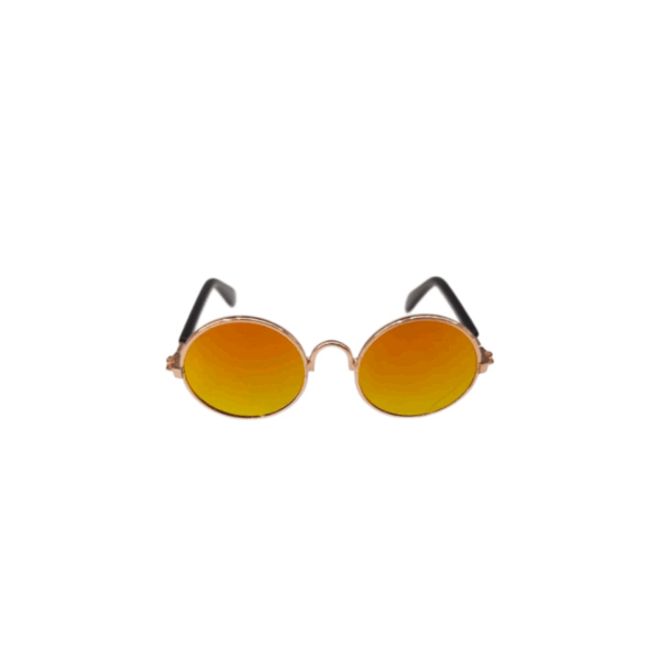 Stylish Sunglasses for Your Pet