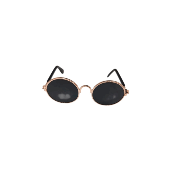 Stylish Sunglasses for Your Pet