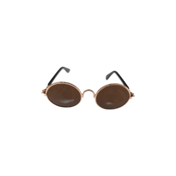Stylish Sunglasses for Your Pet