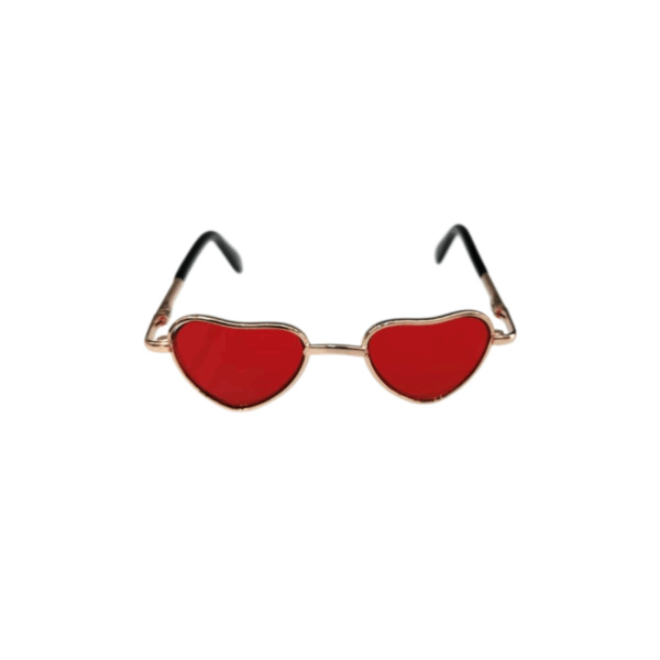 Sunglasses For Pet Accessories And Photography
