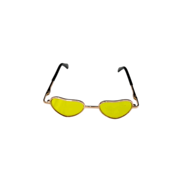 Sunglasses For Pet Accessories And Photography