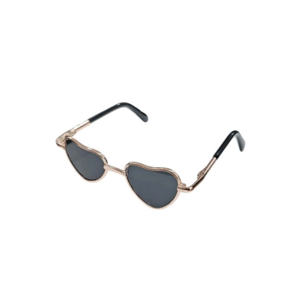Sunglasses For Pet Accessories And Photography