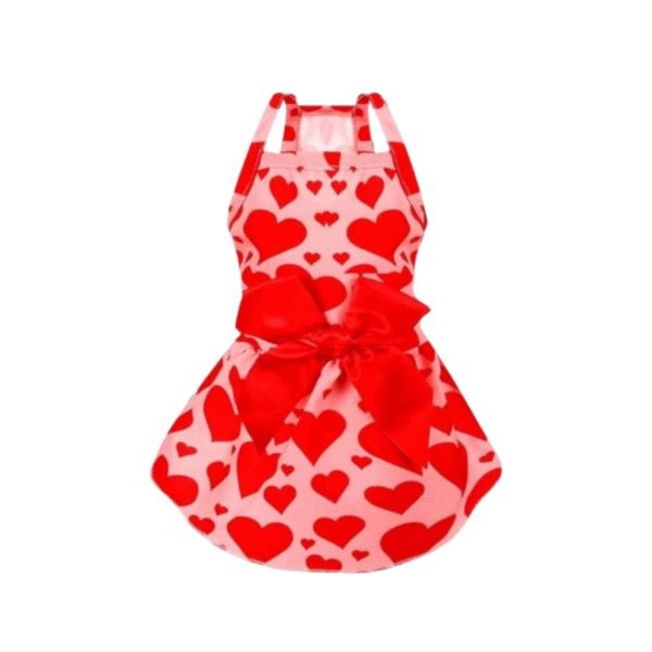 Fashionable dress with elegant bow in small size in different colors and shapes