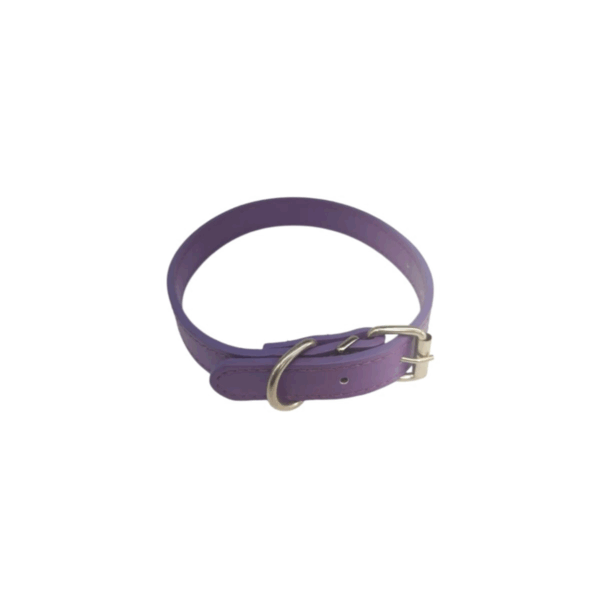 pet collar Adjustable, purple color, 50 cm