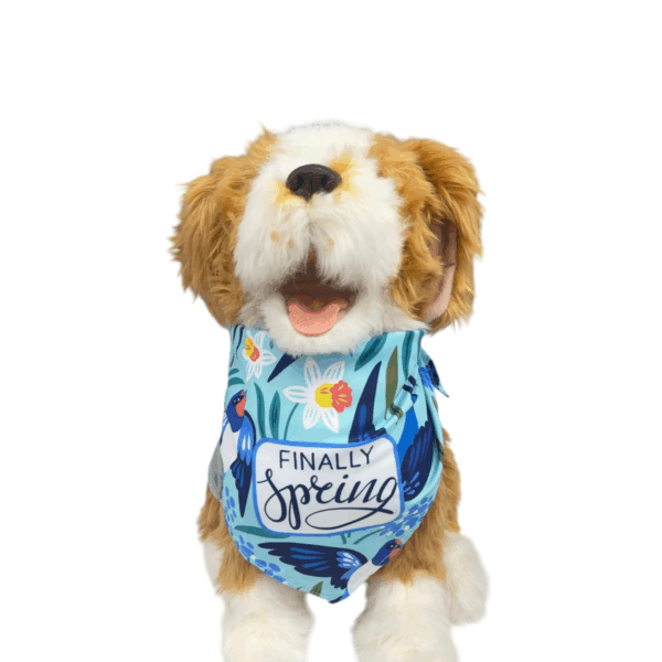 Pet Tie