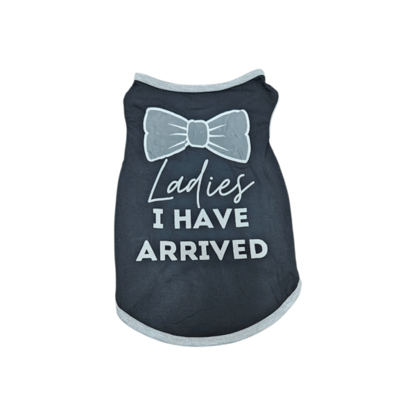 PET Clothes black and gray color size M