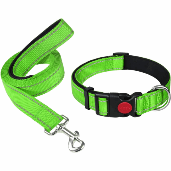 Durable & Stylish Dog Collar and Leash Set – Medium Size, leash Length:140cm, collar length 40cm