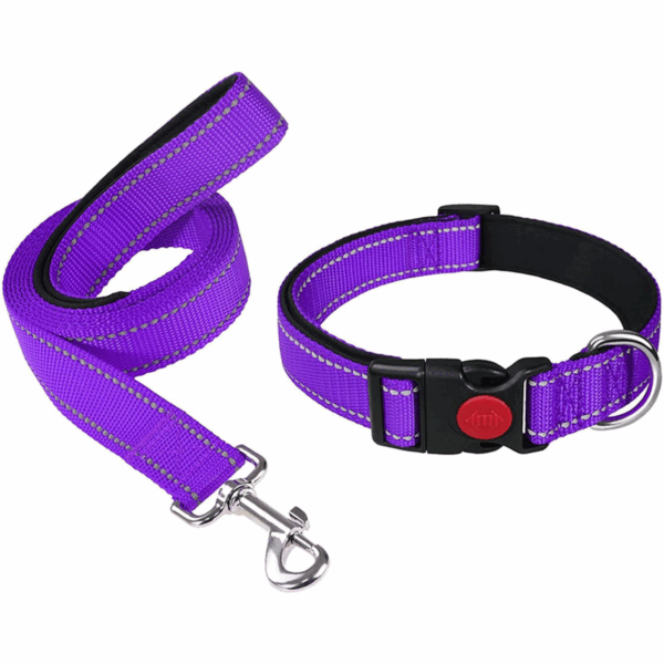 Durable & Stylish Dog Collar and Leash Set – Medium Size, leash Length:140cm, collar length 40cm