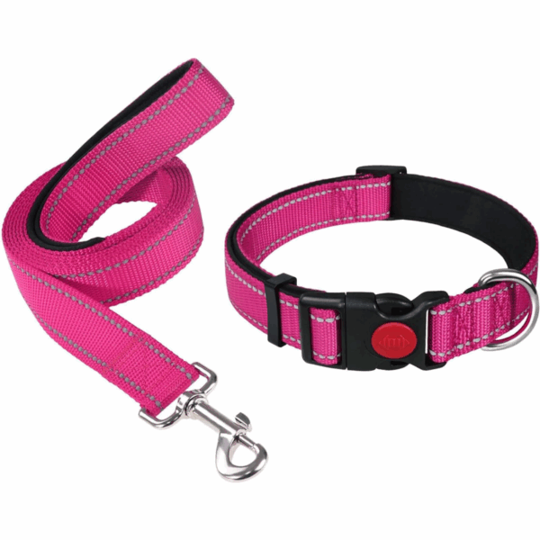 Durable & Stylish Dog Collar and Leash Set – Medium Size, leash Length:140cm, collar length 40cm
