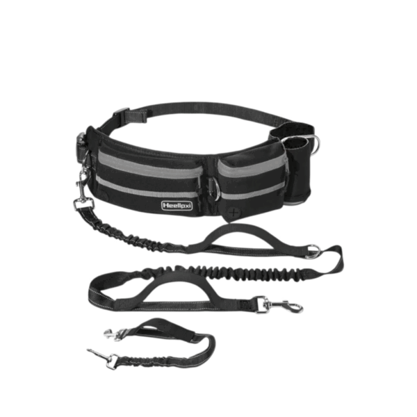 Practical waist bag with two compartments and a poop bag dispenser, featuring two reflective, stretchable, and adjustable leashes — comfortable and safe for walking, running, and outdoor activities. Waist length 60cm-120cm Leash length 120cm-230cm