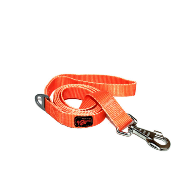 Natura Leash – Neon Orange