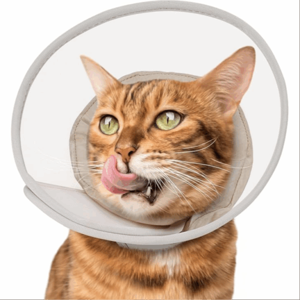 Pet Cone Collar Soft Comfortable Waterproof , After Surgery to Stop Licking and Scratch Small size