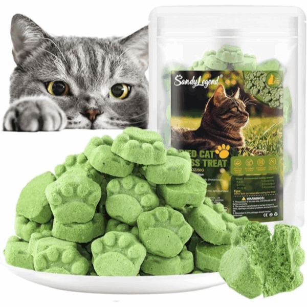 Sandy Legend cat grass treats, cat snacks for hairball removal and dental care 50g - مكافآت عشب القطط المجفف، وجبات خفيفة للقطط لإزالة كرات الشعر والعناية بالأسنان 50جرام
