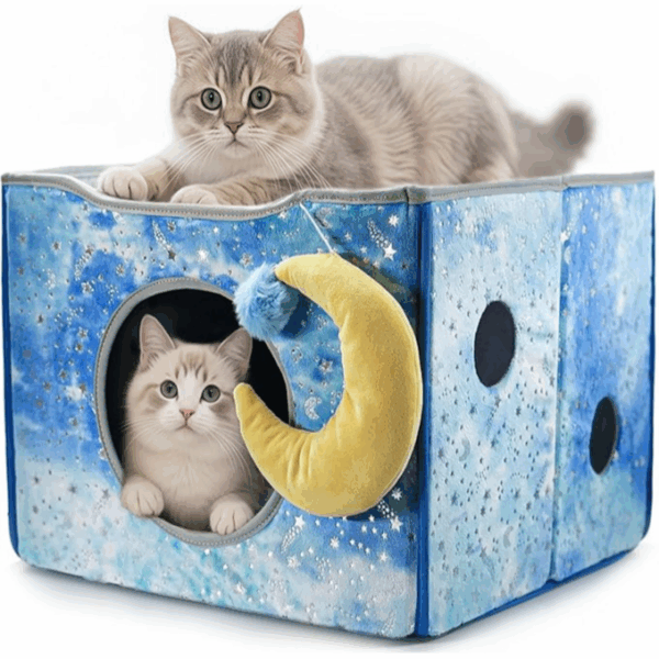CWV Cat Houses, Cute Cat Bed with Scratch Pillow, Folding Cat Cube for Many Big Cats,Lion Design 28cm - بيت قطط لطيف مع وسادة للخدش، قابل للطي ، بتصميم أسد الطول 43 سم، العرض 43 سم، الارتفاع 33 سم
