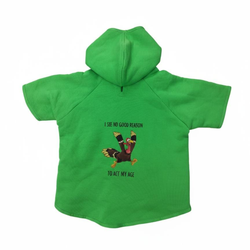 Stylish and soft dog jacket with hood XS size - green - سترة انيقة وناعمة للكلاب بغطاء رأس قابل للتعديل مقاس XS, اخضر