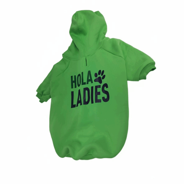 Stylish and soft dog jacket with hood size L -green - سترة انيقة وناعمة للكلاب بغطاء رأس مقاس كبير