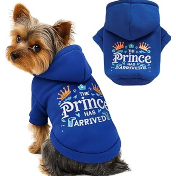 The Little Prince Sweatshirt - for Pet , Suitable for Spring, Autumn, and Winter L size  سويت شيرت الأمير الصغير - للحيوانات الأليفة، مناسب لفصلي الربيع والخريف والشتاء مقاس L size
