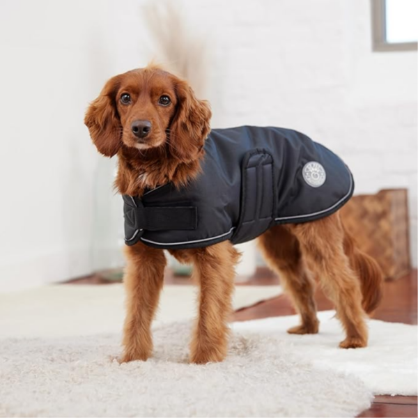 Soft & Cozy Dog Jacket Large size - معطف ناعم ومريح للكلاب مقاس كبير