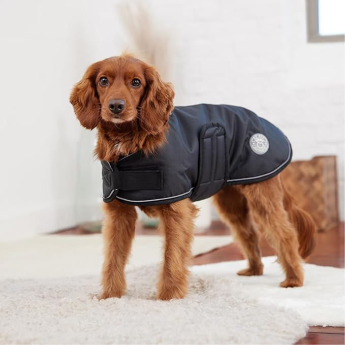 Soft & Cozy Dog Jacket Large size - معطف ناعم ومريح للكلاب مقاس كبير