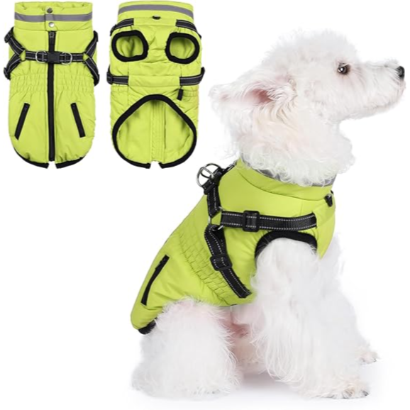 Coat Waterproof Winter Jacket With Harness FOR PETS (Neaon lemon M)  معطف شتوي مقاوم للماء مع حزام للحيوانات الأليفة (لون ليموني نيون، مقاس متوسط)
