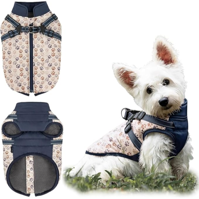 Dog Winter Coat , Waterproof Dog Coat with Harness, Snowsuit for Dachshund, Frenchie, Corgi (Paw Blue,XL) - معطف شتوي للكلاب، معطف مقاوم للماء مع حزام، بدلة ثلجية للكلاب (أزرق، مقاس XL)