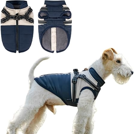 Dog Winter Coat , Waterproof Dog Coat with black Harness, ( Blue,2XL) معطف شتوي للكلاب، معطف مقاوم للماء مع حزام، (أزرق، مقاس XL2)