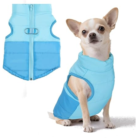 Winter PET Coat with Leash Ring, Warm Jacket For Cold Weather (Blue, XL) - معطف شتوي مع حلقة ربط، دافئ للطقس البارد (ازرق، مقاس XL)