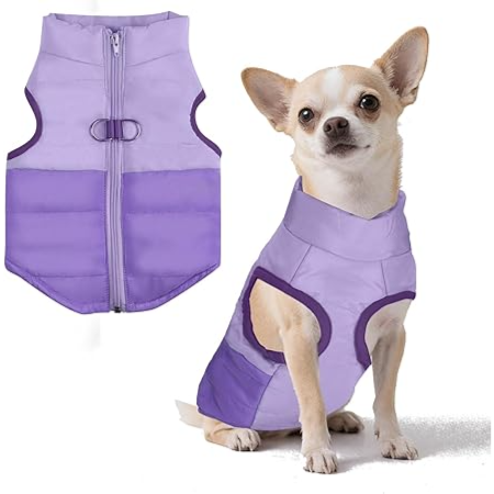 Winter PET Coat with Leash Ring, Warm Jacket Cold Weather (Purple, L) - معطف شتوي مع حلقة ربط، جاكيت دافئ للطقس البارد (بنفسجي، مقاس L)