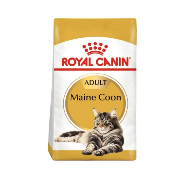 Royal Canin Feline Breed Nutrition Maine Coon Adult Cat Dry Food 2kg - رويال كانين طعام قطط سلالة "ماين كون" بالغين جاف 2 كجم