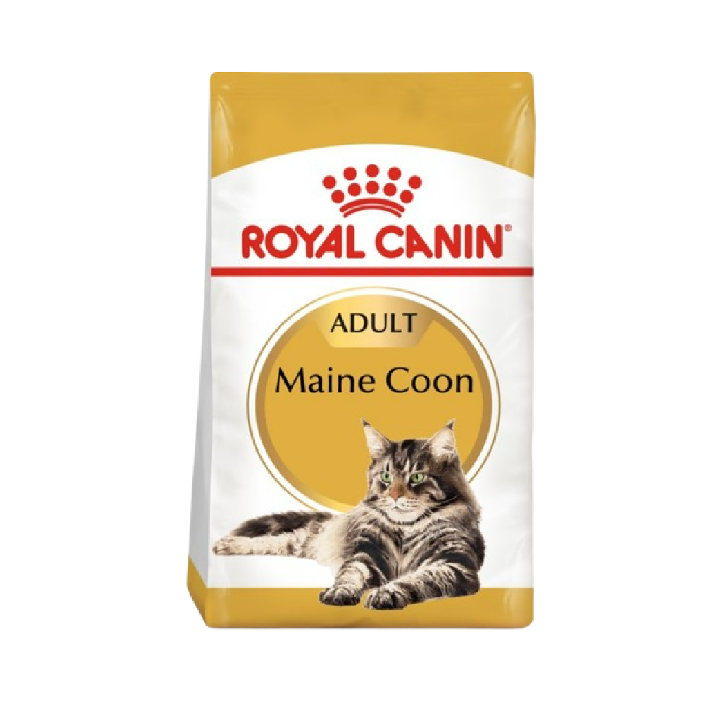 Royal Canin Feline Breed Nutrition Maine Coon Adult Cat Dry Food 2kg - رويال كانين طعام قطط سلالة "ماين كون" بالغين جاف 2 كجم