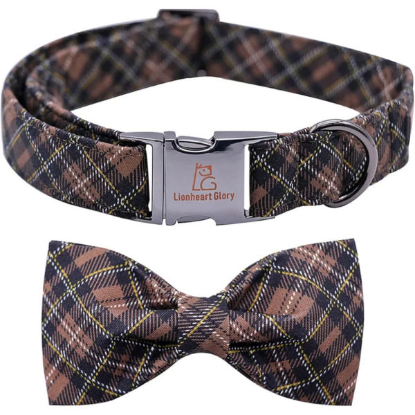 Lionheart leash &collar set of 2pcs different color M size